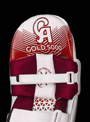 CA Gold 5K