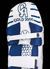 Gold 3000