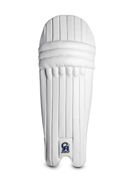 CA Pro 2000