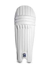 CA Pro 2000