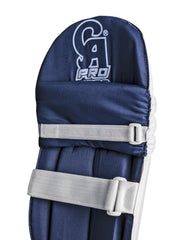 CA Pro 2000