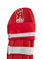 CA Pro 3000