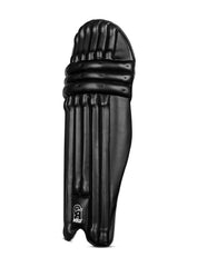 CA Pro 10000